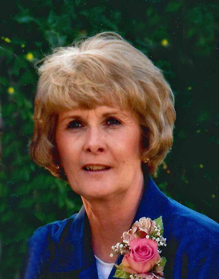 Barbara Jo Drussel Chesley obituary photo