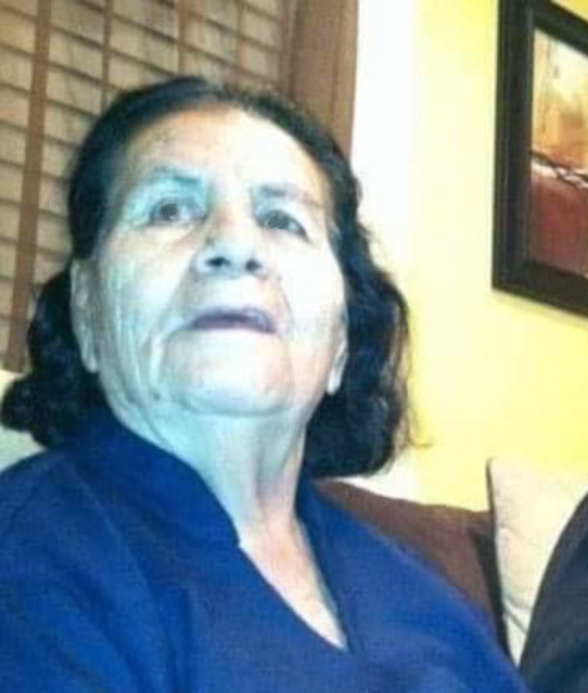 Anita Caldera Castro obituary photo