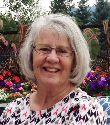 Dana Lee Neibaur Dorsey obituary photo