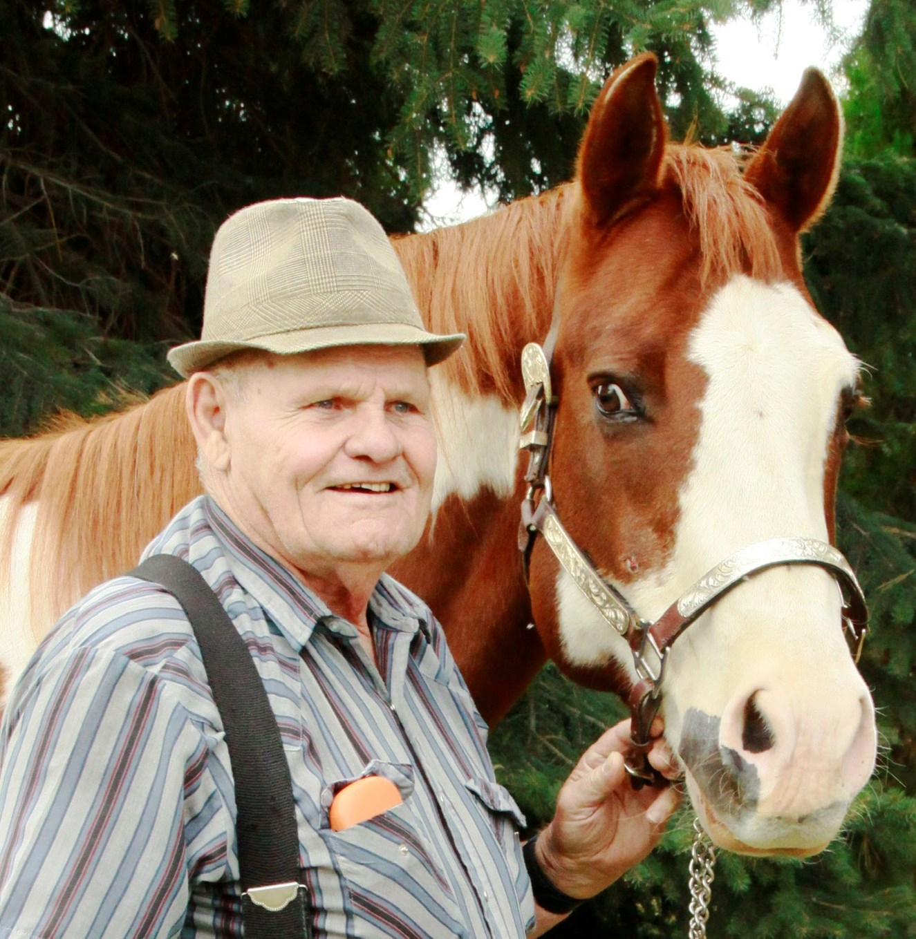 Bernard Clifford Gibbs obituary photo