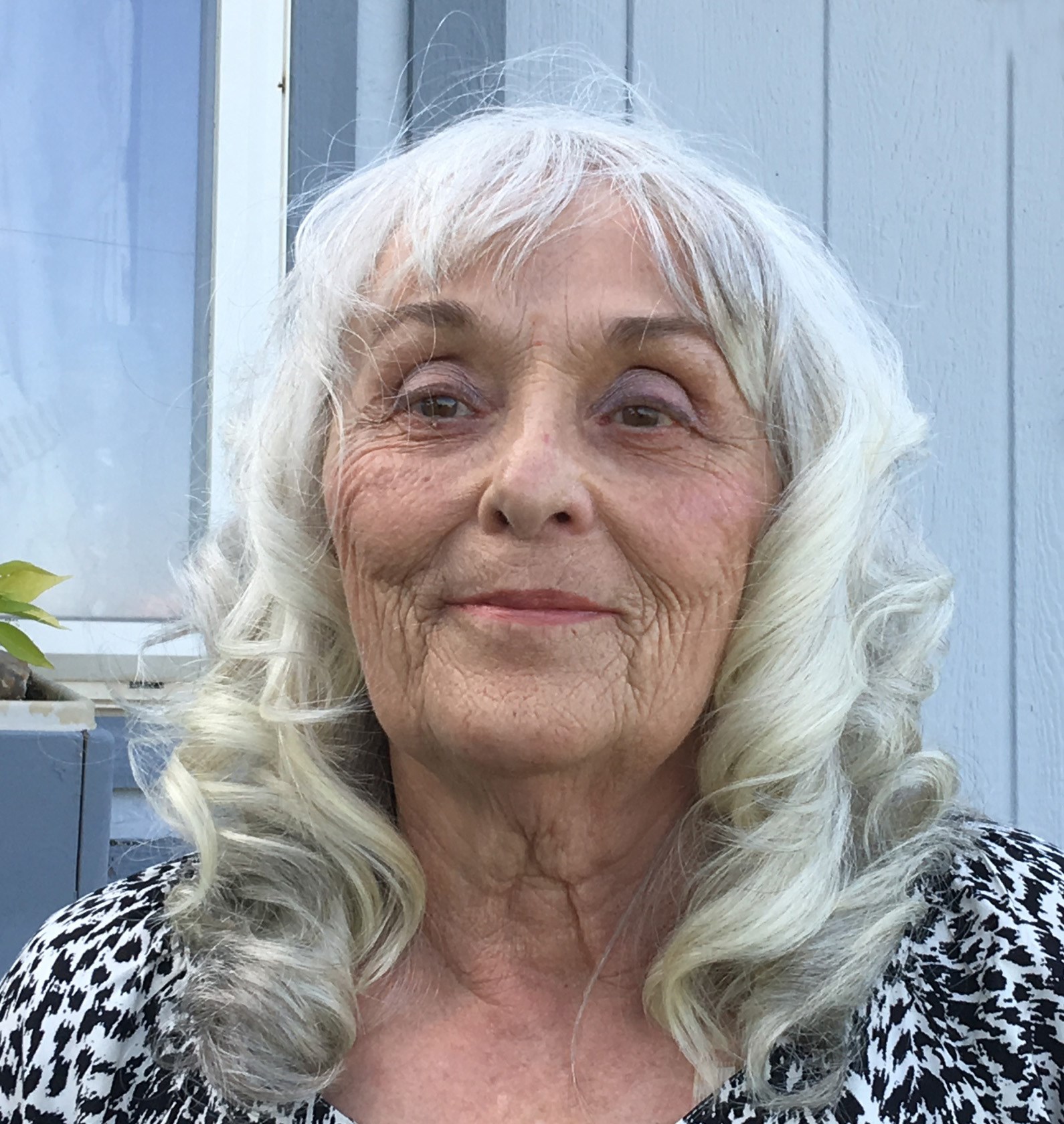 Dixie Ann (Hranac) Barkes obituary photo