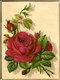 Betty Squires Brown