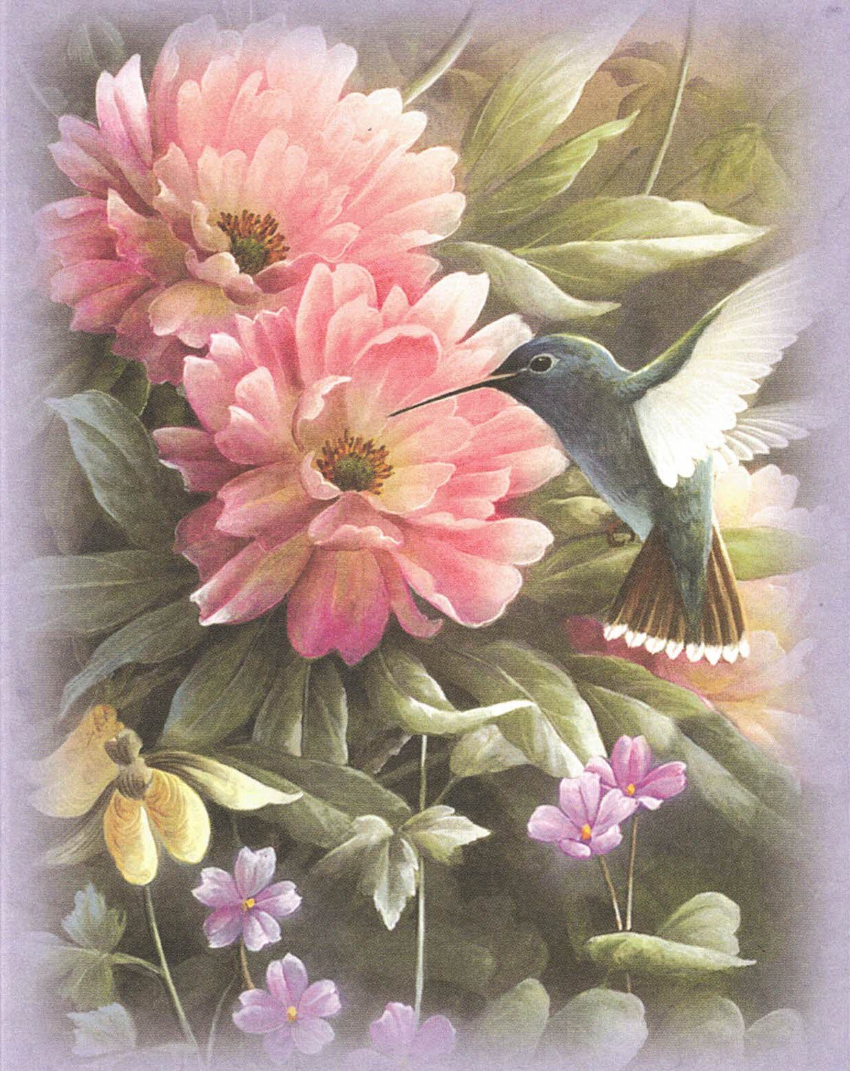 Karlotta Jean Hawker