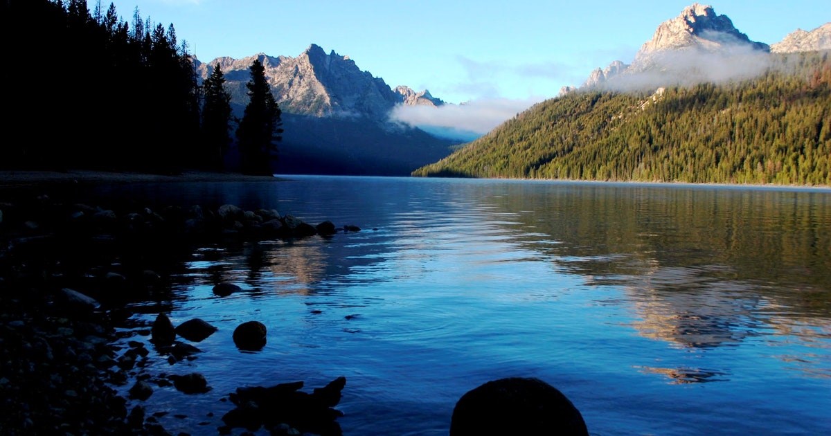 Leland Quinton Vallette